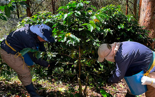 Agro colombiano, liquidez y pagos con nueva opci&oacute;n de confirming BBVA