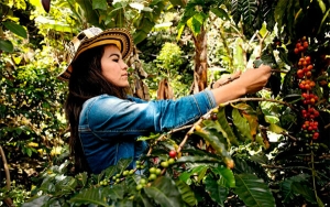 Mujeres, las manos competitivas que le hac&iacute;an falta a la caficultura
