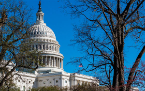 "Hueste de demonios": &iquest;la clase pol&iacute;tica estadounidense se quiebra?