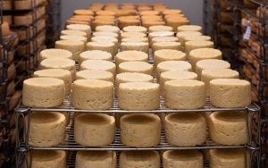 Tributaria: Amigo el rat&oacute;n del queso