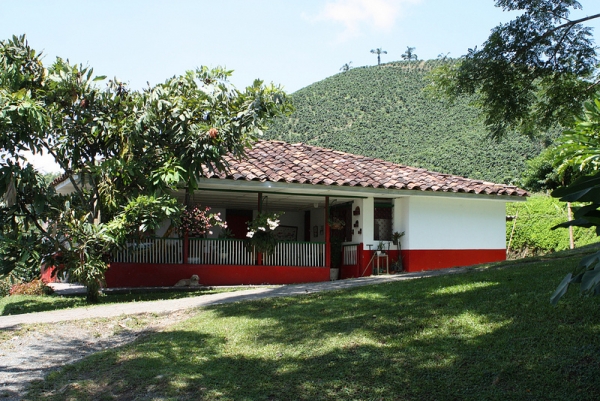 Ca&iacute;da en la producci&oacute;n cafetera del Quind&iacute;o: &ldquo;La regi&oacute;n milagro&rdquo;