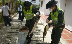 Lanzan Mesa T&eacute;cnica contra delitos ambientales y miner&iacute;a ilegal