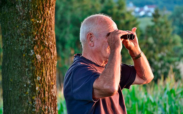 Ahorro pensional est&aacute; blindado: Una mirada al sistema de jubilaci&oacute;n