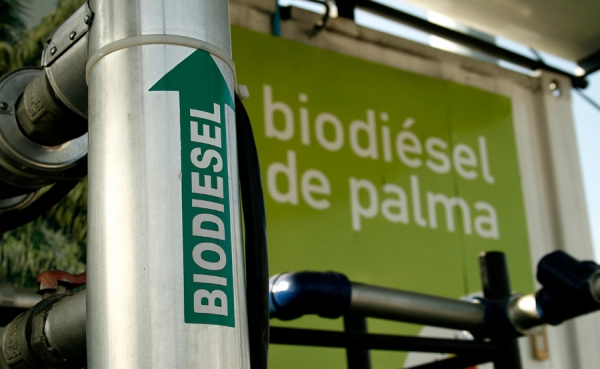 Medidas del Gobierno afectan producci&oacute;n de biocombustibles