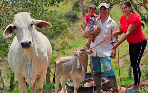 Ganaderos invertir&aacute;n m&aacute;s de $7.000 millones en desarrollo rural