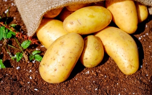 Por patatas, UE apela ante la OMC contra aranceles de Colombia