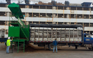 Exportaciones colombianas de carne rompen r&eacute;cord en lo corrido del a&ntilde;o