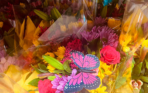 Log&iacute;stica, vital en exportaci&oacute;n de flores colombianas en el d&iacute;a de la madre