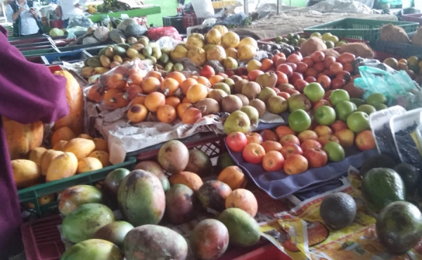 Latinoam&eacute;rica y el Caribe enfrentan p&eacute;rdidas y desperdicios de alimentos