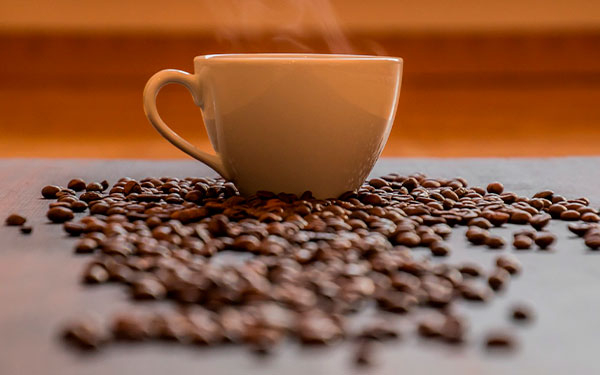 En caficultura no ha habido bonanza, tan solo un paliativo: Caf&eacute; Pacund&iacute;