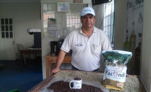 Caf&eacute; Pacund&iacute;, a la altura de la mejor caficultura del mundo