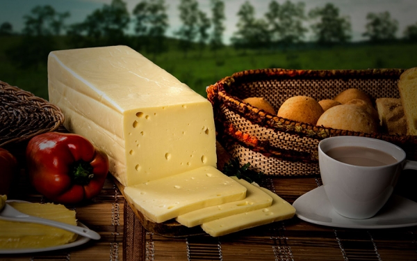 Industria de los quesos lucha por pasar la prueba de los TLC: La Florida